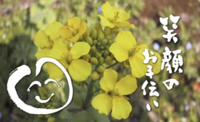 給太郎/メディカルネットワーク株式会社の事例1